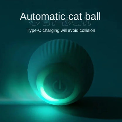 Cat Toy Interactive Ball