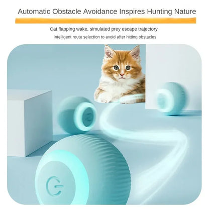 Cat Toy Interactive Ball