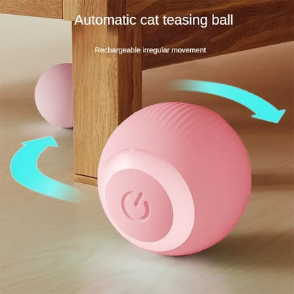 Cat Toy Interactive Ball