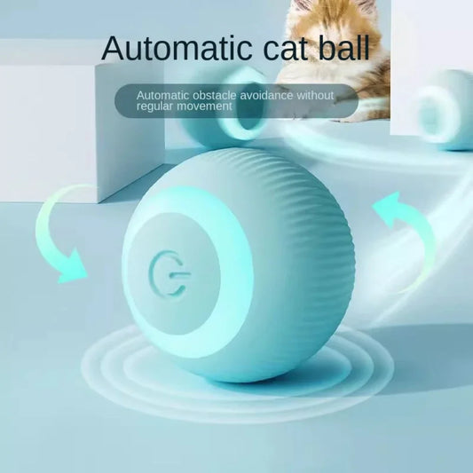 Cat Toy Interactive Ball